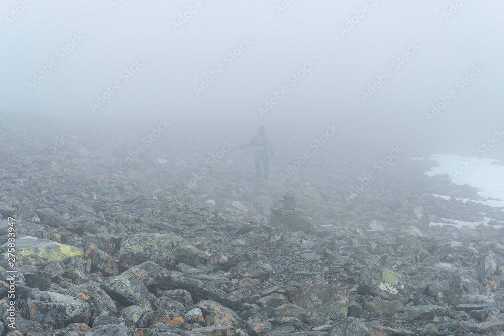 Fototapeta premium Person hiking in snow storm. Kebnekaise Sweden