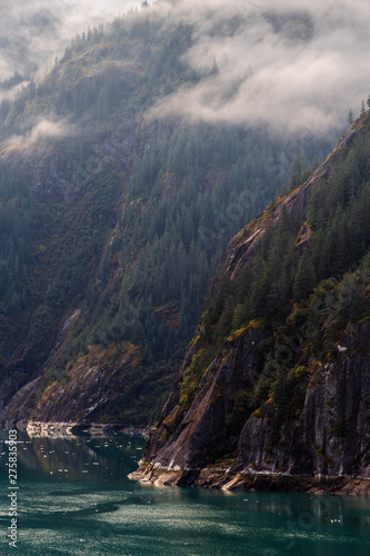 Alaskan Fjord