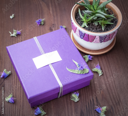 Purple gift box with a clean tag and a pot with a house plant on a wooden table with small flowers. Womans day, 8 march, wedding, dating, love concept. Instagram Toning