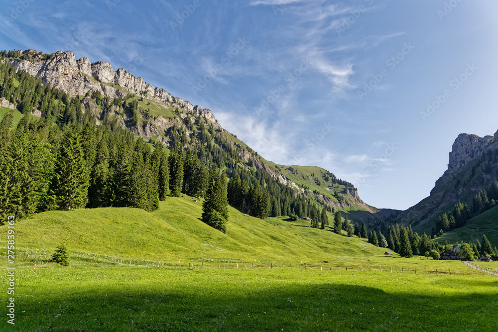 la vallée de Justistal dans les Alpes Suisses
