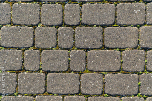 rounded grey cobblestones with moss vegetation in the interspaces as texture background