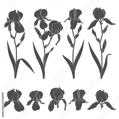 Set of black and white illustrations with iris flowers. Isolated vector objects on white background.