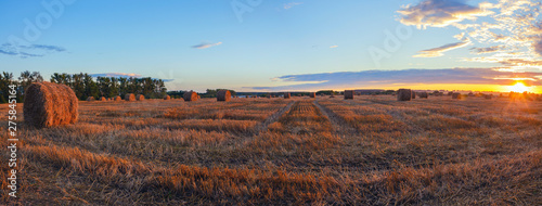 Hay bales on the farm field