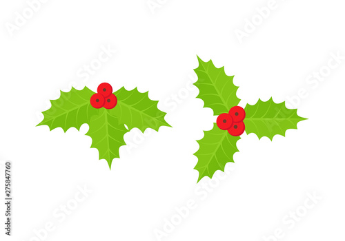 Christmas holly berry icon. Vector. Green mistletoe leaves. Holiday winter symbol isolated on white background in flat design. Cartoon colorful illustration