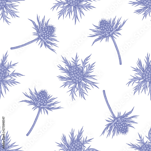 Seamless pattern with hand drawn pastel blue eryngo