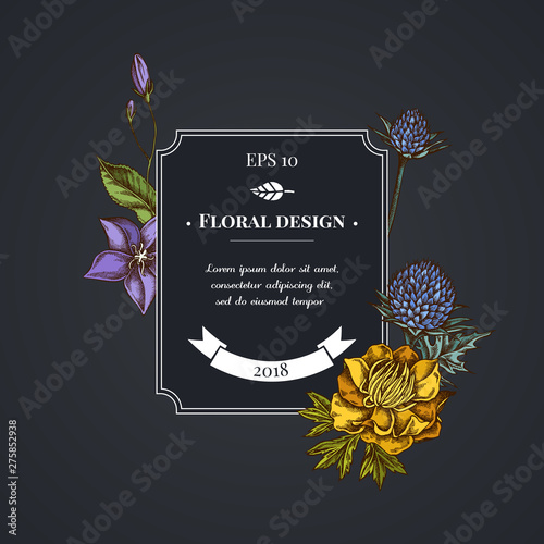 Dark badge design with bellflower, globethistle, globeflower