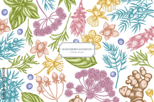 Floral design with pastel angelica, basil, juniper, hypericum, rosemary, turmeric