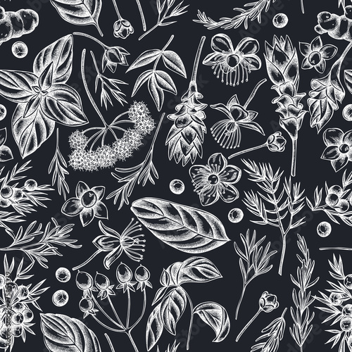 Seamless pattern with hand drawn chalk angelica, basil, juniper, hypericum, rosemary, turmeric