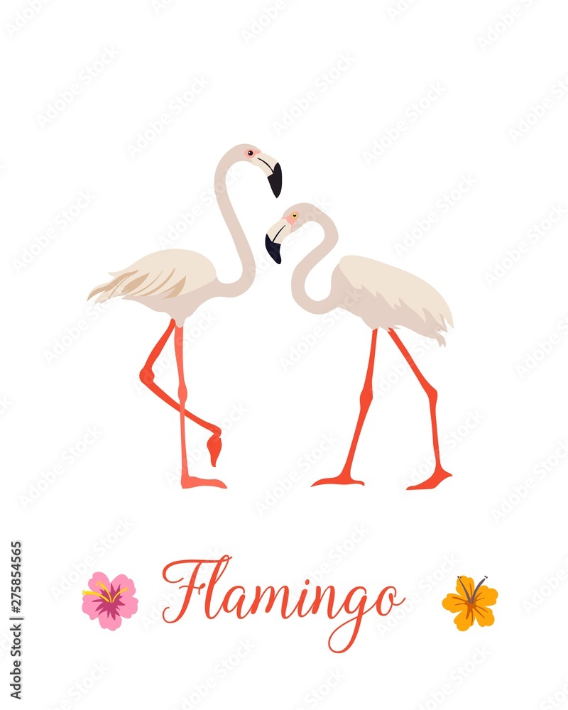 Obraz premium Two pink flamingo set. Exotic tropical bird. Decoration element. Flat design. White background. Vector illustration.