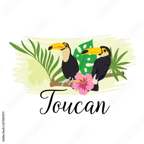 Couple of toucans sitting on the branch in the jungle. Vector illustration