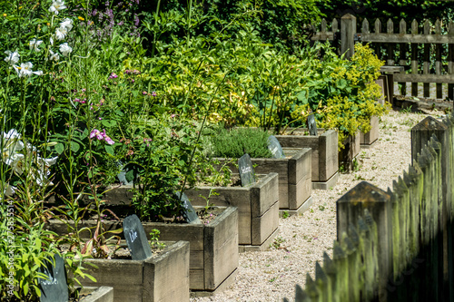 Heilkräuter anbauen im Kräutergarten