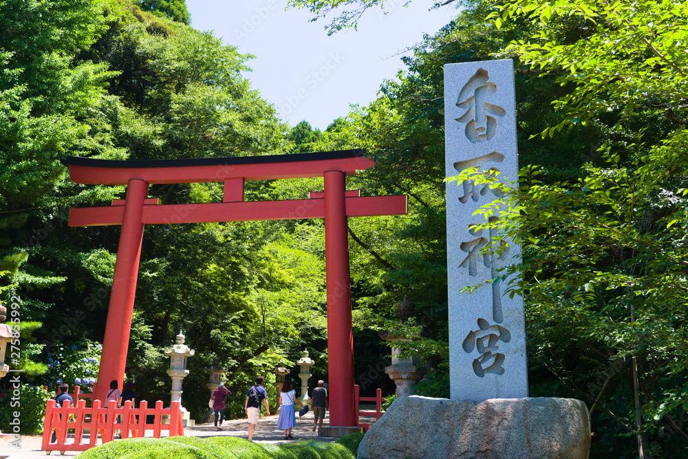 bridge in park