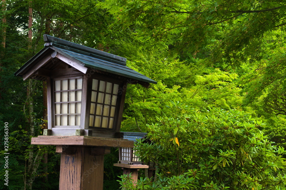 house in the forest