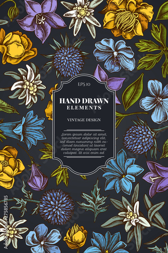 Card design on dark background with bellflower, edelweiss, globethistle, globeflower, meadow geranium, gentiana