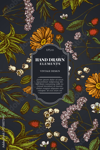 Card design on dark background with aloe, calendula, lily of the valley, nettle, strawberry, valerian