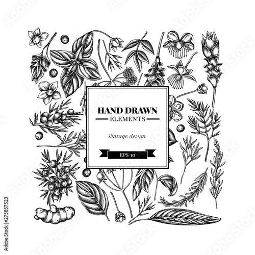 Square floral design with black and white angelica, basil, juniper, hypericum, rosemary, turmeric