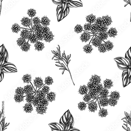 Seamless pattern with black and white angelica, basil, rosemary