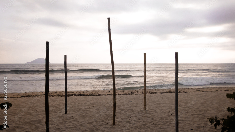 sunset on the beach and bamboo support