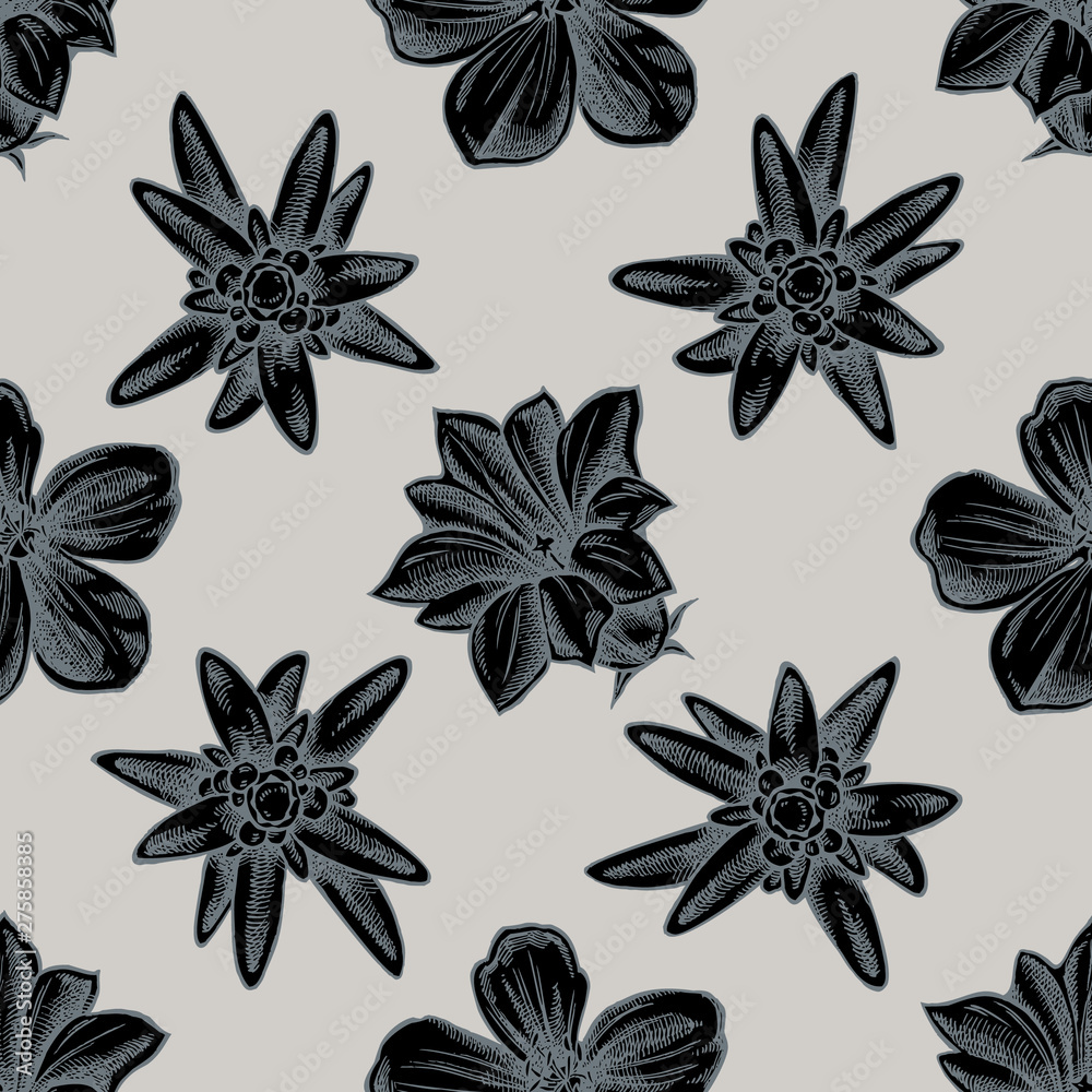 Seamless pattern with hand drawn stylized edelweiss, meadow geranium, gentiana