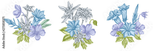 Flower bouquet of pastel edelweiss, meadow geranium, gentiana