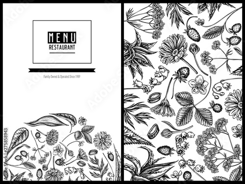 Menu cover floral design with black and white aloe, calendula, lily of the valley, nettle, strawberry, valerian