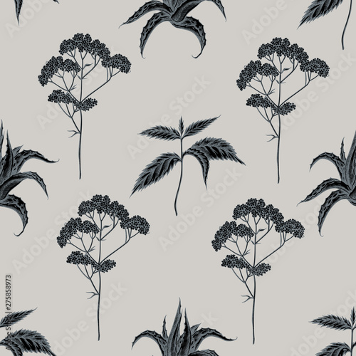 Seamless pattern with hand drawn stylized aloe, nettle, valerian