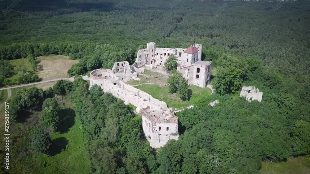 Beautiful historic castle ruins on a green hill. Ruins of Tenczyn Castle in Rudno, Poland. Beautiful historic castle ruins on a green hill. Ruins of Tenczyn Castle in Rudno, Poland.