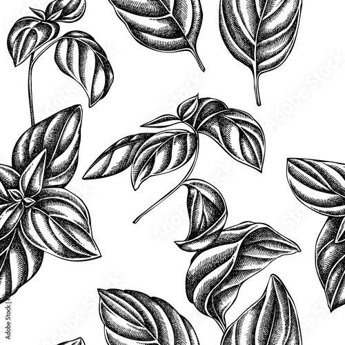 Seamless pattern with black and white basil