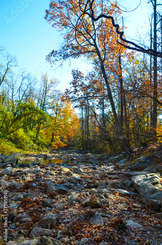 Autumn and Trees in North America Parks...