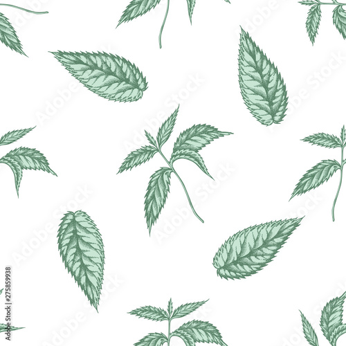 Seamless pattern with hand drawn pastel nettle