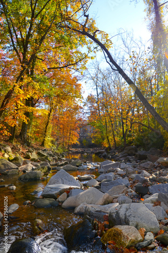 Autumn and Trees in North America Parks...