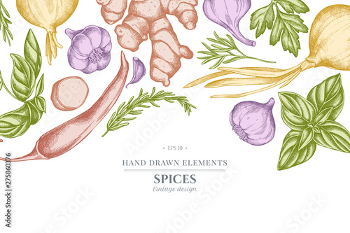 Floral design with pastel onion, garlic, pepper, greenery, ginger, basil, rosemary