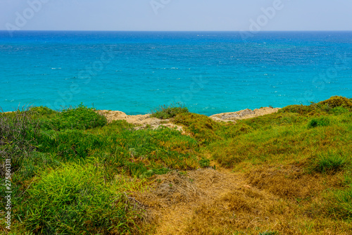  flowers and plants of cyprus