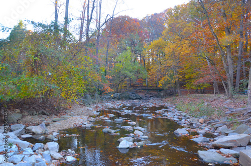 Fall Park in Virginia USA