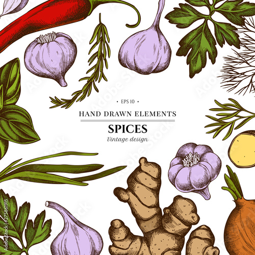 Floral design with colored onion, garlic, pepper, greenery, ginger, basil, rosemary