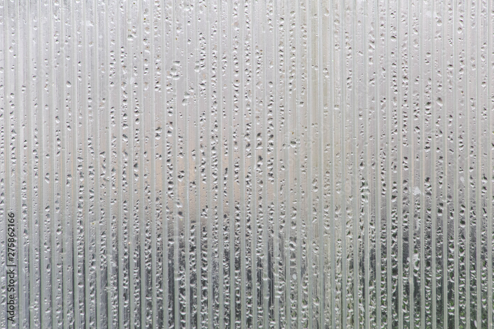 misted greenhouse made of polycarbonate