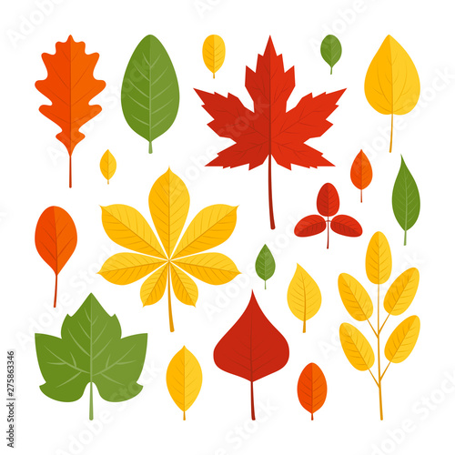 Colorful leaves in flat style, icons set