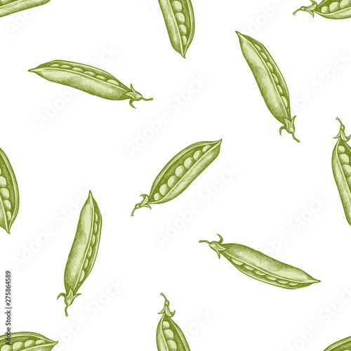 Seamless pattern with hand drawn pastel peas