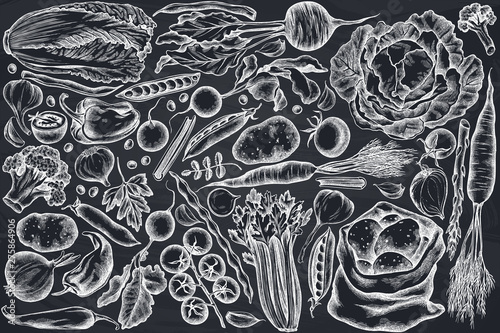 Vector set of hand drawn chalk onion, garlic, pepper, broccoli, radish, green beans, potatoes, cherry tomatoes, peas, celery, beet, greenery, chinese cabbage, cabbage, carrot