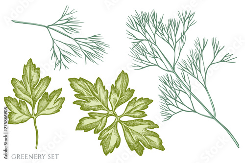 Vector set of hand drawn pastel greenery