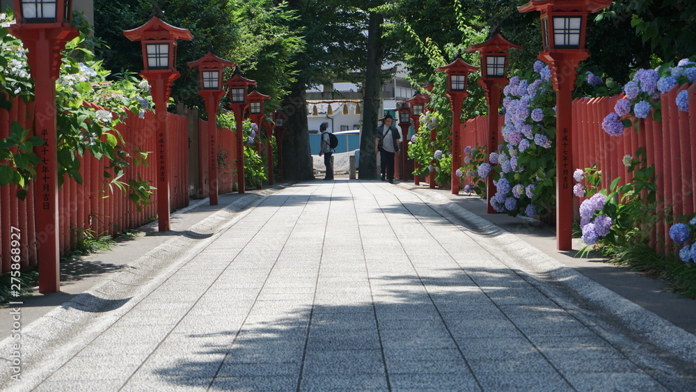 Fototapeta premium 川越八幡宮