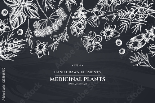 Floral design with chalk angelica, basil, juniper, hypericum, rosemary, turmeric