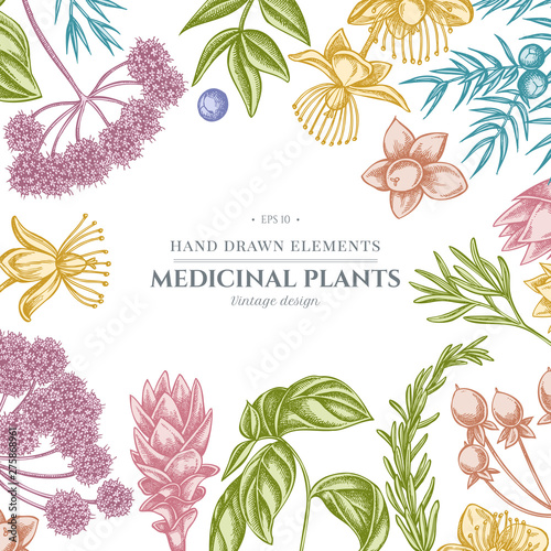Floral design with pastel angelica, basil, juniper, hypericum, rosemary, turmeric