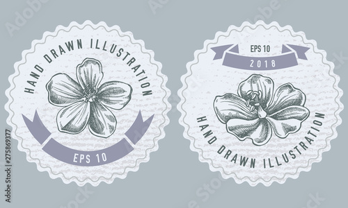 Monochrome labes with meadow geranium