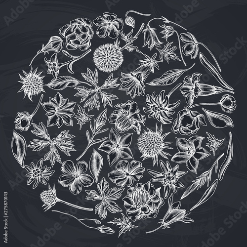 Round floral design with chalk bellflower, edelweiss, globethistle, globeflower, meadow geranium, gentiana