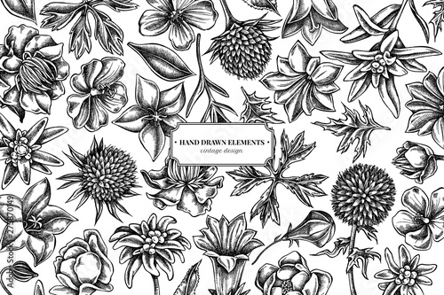 Floral design with black and white bellflower, edelweiss, globethistle, globeflower, meadow geranium, gentiana