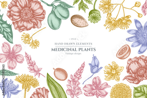 Floral design with pastel almond, dandelion, ginger, poppy flower, passion flower, tilia cordata