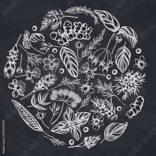 Round floral design with chalk angelica, basil, juniper, hypericum, rosemary, turmeric