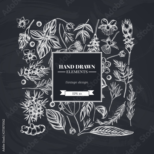 Square floral design with chalk angelica, basil, juniper, hypericum, rosemary, turmeric
