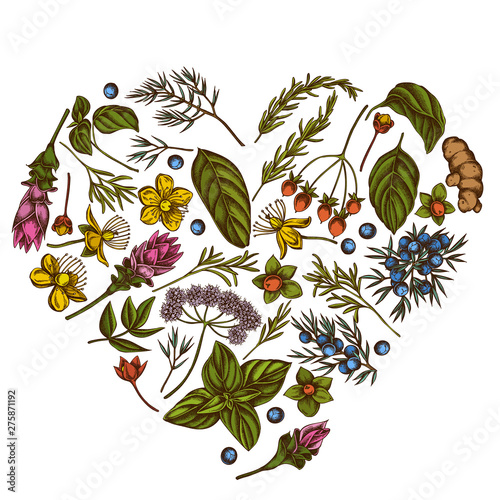 Heart floral design with colored angelica, basil, juniper, hypericum, rosemary, turmeric